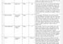 provide professional screenplay coverage with detailed script notes